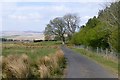 NY8996 : Access road on Davyshiel Hill by Russel Wills