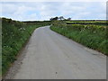 Beacon Road near Troon Tanner