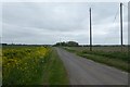 Road near Cedar Farm