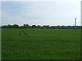 Crop field off Langford Road