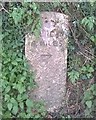 SN3853 : Old Milestone by the A487, Gellie, Ceredigion by Milestone Society