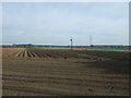 Furrowed field near Maldon