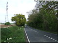 Maypole Road towards Great Totham