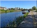 Bascule footbridge on the Forth & Clyde Canal