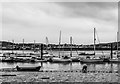 Digging for lugworms, Conwy Bay