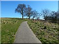 Path on the west side of Craigend Hill