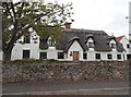 TL6961 : Thatched house on Church Street, Ashley by David Howard