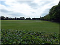 Cricket Ground, Park Road, Colchester