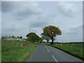 Minor road towards Fingrinhoe