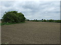 Field near Battleswick Farm