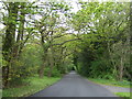 School Lane near Cheedon Farm