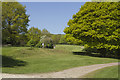 Golfers at Allestree Park