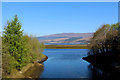 Mouth of the River Nevis