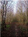 Path near Orestone Cross