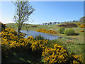 Reservoir at Montague Hill