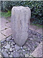 Amroth - large stone in community garden