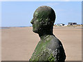 SJ3098 : Corroding Man on Crosby Beach by David Dixon