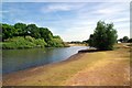 Alexandria Lake on Wanstead Flats