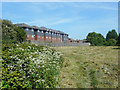 The Edge of Thorpe Hay Meadow