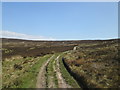 SD9900 : Track across Slatepit Moor by John Slater