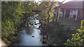 Ivybridge : The River Erme