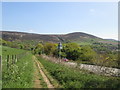 Pennine Bridleway at Carrbrook