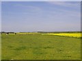 Farmland north of Everleigh