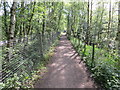 SE0225 : Permitted footpath and cycleway from Mytholmroyd to Brearley by Peter Wood