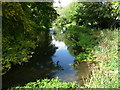 River Itchen at Hockley Mill