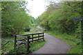 NCR 468 in Bargoed Woodland Park