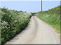 Road near Trelaminney