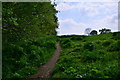 East Devon : Footpath