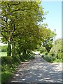 Country road approaching Halfway House