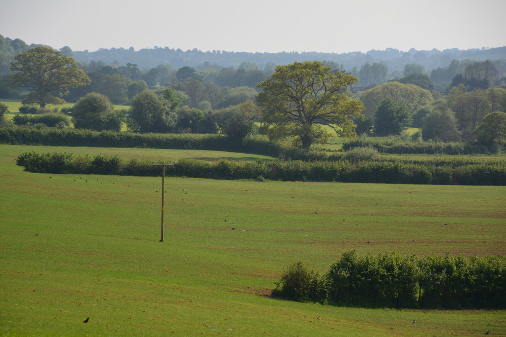 East Devon : Countryside Scenery © Lewis Clarke :: Geograph Britain and ...