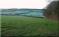 Fields near Tetcott