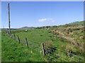 Rough pastureland near Cerrigydrudion