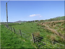 SH9448 : Rough pastureland near Cerrigydrudion by Eirian Evans