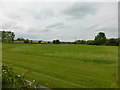 Fields near Careby