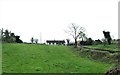 Homestead above the Killyleagh Road