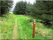 NO2004 : Path to West Feal farm, Lomond Hills by Bill Kasman
