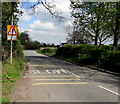 Warning sign - no footway for half-a-mile, Chilton Road, Bridgwater