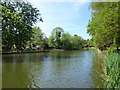 The lake in Raphael Park