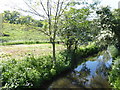 The Ingrebourne River seen from Harold Court Road