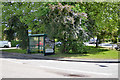 Firbank Road bus stop