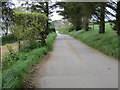 Road leading to Treveale Farm