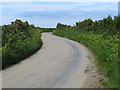 Hedge-lined road near Treviskey