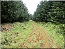NO2003 : Path to West Feal farm, Lomond Hills by Bill Kasman