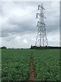 Pylon And Footpath