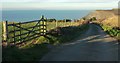 Lane to Crackington Haven