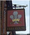 Sign for the Feathers public house, Wymondham